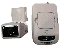 Wireless Color CCD Security System